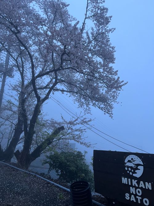 オッさん5人料理キャンプ 未完の里 グループキャンプ 区画サイト ナツメさんのキャンプブログ CAMPiii（キャンピー） -キャンプ専用SNS キャンプのすべてがここに集まる-