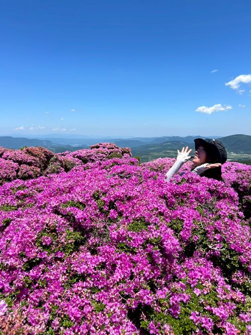 ここが最高到達点？いや、まだ先よ！な、キャンプ＆登山 グループキャンプ フリーサイト 区画サイト オートサイト NATSUさんのキャンプブログ CAMPiii（キャンピー） -キャンプ専用SNS キャンプのすべてがここに集まる-