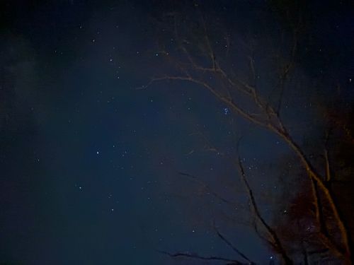 2025最後の旅する古本屋〜紫微輝く森の片隅で〜 紫星の森 ソロキャンプ フリーサイト ぱぱちょさんのキャンプブログ CAMPiii（キャンピー） -キャンプ専用SNS キャンプのすべてがここに集まる-