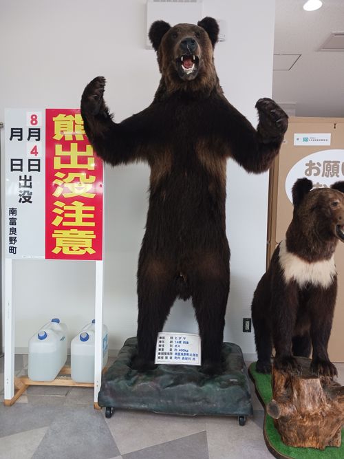 【Day2】北海道Ｃ△ｍｐ旅’  in 上川・ふらの SPA＆HOTEL RESORT ふらのラテール ファミリーキャンプ キャンピングカー vios outdoor'sさんのキャンプブログ CAMPiii（キャンピー） -キャンプ専用SNS キャンプのすべてがここに集まる-