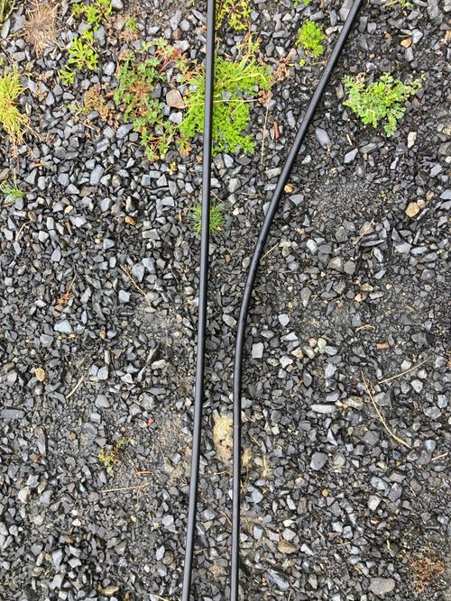 ☔︎雨キャン☔︎ かじかじテラスcampfield ファミリーキャンプ 区画サイト オートサイト masaさんのキャンプブログ CAMPiii（キャンピー） -キャンプ専用SNS キャンプのすべてがここに集まる-