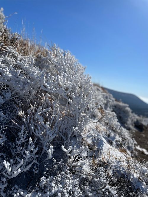 オープン最終日の大寒波❄️ えびの高原 キャンプ村 ソロキャンプ 区画サイト Anomiさんのキャンプブログ CAMPiii（キャンピー） -キャンプ専用SNS キャンプのすべてがここに集まる-
