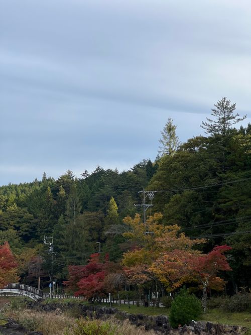 組合キャンプレク ソロキャンプ フリーサイト KABUTOさんのキャンプブログ CAMPiii（キャンピー） -キャンプ専用SNS キャンプのすべてがここに集まる-