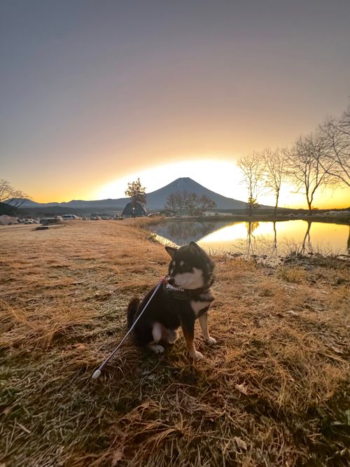 CAMPiii(キャンピー) OYAKATAさんのキャンプブログ 今月2回目⛺️今回も天気に恵まれて最高 ふもとっぱらキャンプ場