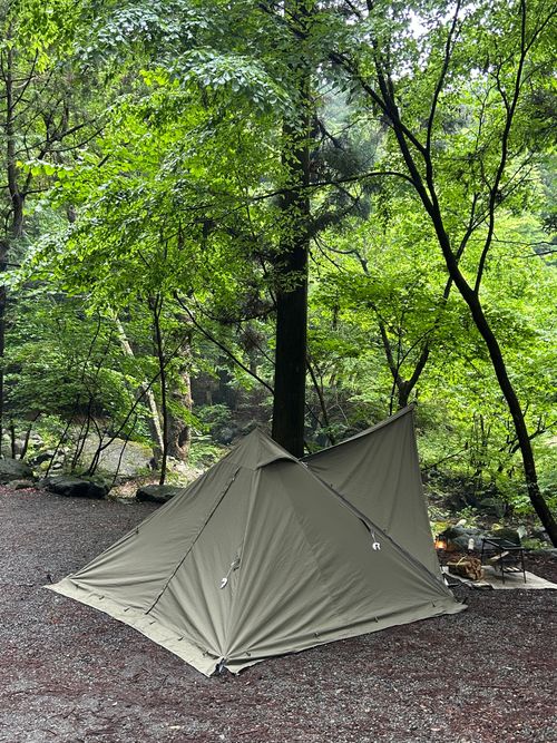 新緑キャンプ🏕 椿荘オートキャンプ場 ソロキャンプ 区画サイト Genさんのキャンプブログ CAMPiii（キャンピー） -キャンプ専用SNS キャンプのすべてがここに集まる-