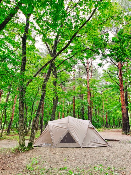CAMPiii(キャンピー) Oniyomeさんのキャンプブログ もう雪景色はおなかいっぱい…なので、現実逃避【備忘録】 エンゼルフォレスト那須白河|ペットと泊まれる宿
