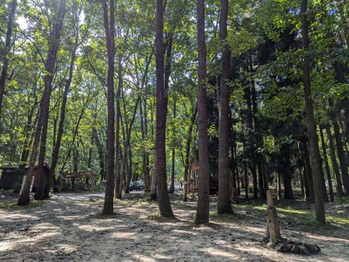 【過去記事】投稿サボってた時の夏の思い出記事で滋賀をうめる 奥琵琶湖キャンプ場 グループキャンプ 区画サイト 週末スナフキンさんのキャンプブログ CAMPiii（キャンピー） -キャンプ専用SNS キャンプのすべてがここに集まる-