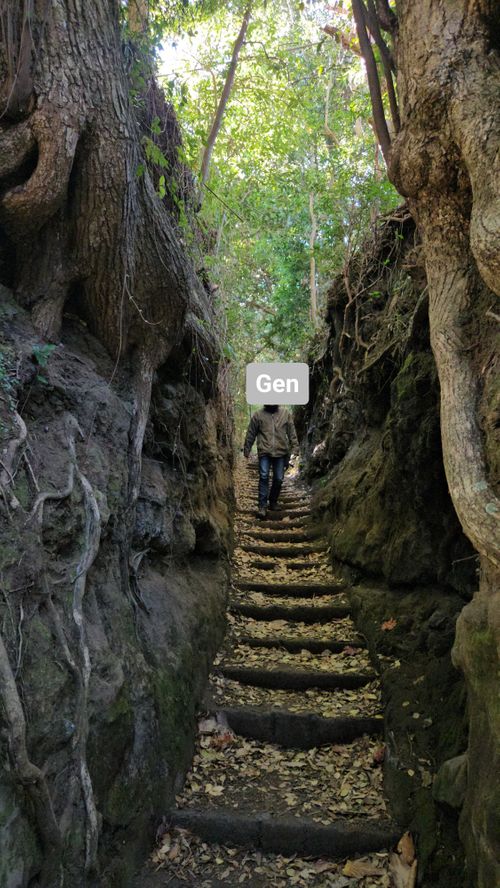 その後 日本 ソロキャンプ グループキャンプ 区画サイト フリーサイト オートサイト IZUIZUさんのキャンプブログ CAMPiii（キャンピー） -キャンプ専用SNS キャンプのすべてがここに集まる-