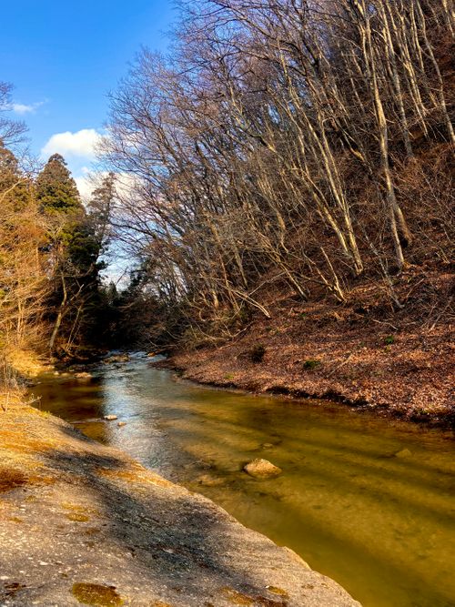 自然と一体！サウナと小川で「ととのう」贅沢時間 OUSE Camp＆Sauna TUULI（トゥーリ） Oniyomeさんのキャンプブログ CAMPiii（キャンピー） -キャンプ専用SNS キャンプのすべてがここに集まる-