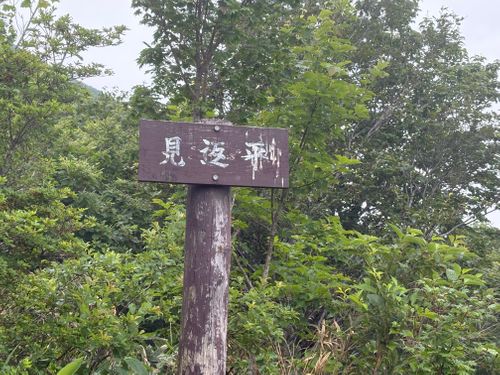 霧けむる泉ヶ岳 オーエンス泉岳自然ふれあい館 ソロキャンプ 区画サイト やまなかさんのキャンプブログ CAMPiii（キャンピー） -キャンプ専用SNS キャンプのすべてがここに集まる-