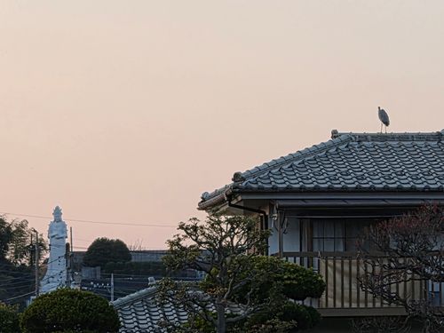 オッサン、清瀬に帰る 清瀬金山緑地公園 ソロキャンプ フリーサイト やんさんのキャンプブログ CAMPiii（キャンピー） -キャンプ専用SNS キャンプのすべてがここに集まる-