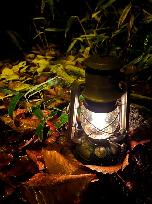 ま、まさかの ソロキャンプ YOTIさんのキャンプブログ CAMPiii(キャンピー) -キャンプ専用SNS キャンプのすべてがここに集まる-