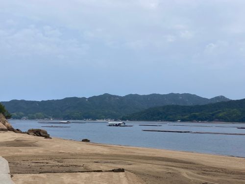 遅めのチェックインでゆっくりキャンプ⛺️ BIG SEASIDE PARK ファミリーキャンプ 区画サイト オートサイト masaさんのキャンプブログ CAMPiii（キャンピー） -キャンプ専用SNS キャンプのすべてがここに集まる-