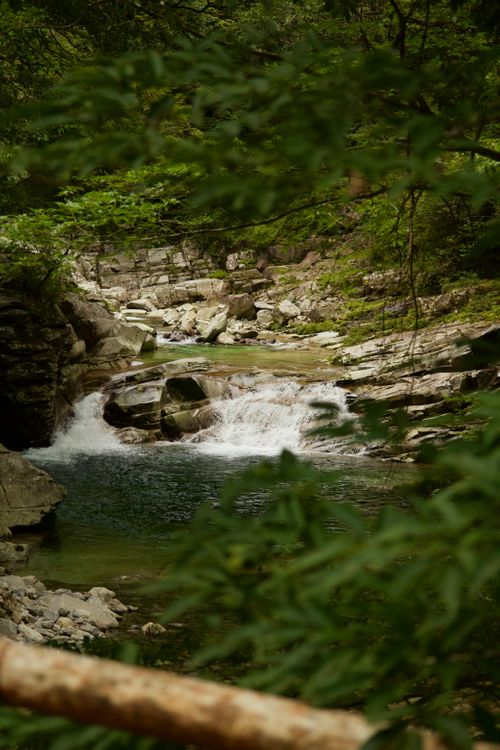 降水確率0％なのに雨！それでも石鎚山へ 自然王国白滝の里キャンプ場 ソロキャンプ フリーサイト yoshiさんのキャンプブログ CAMPiii（キャンピー） -キャンプ専用SNS キャンプのすべてがここに集まる-