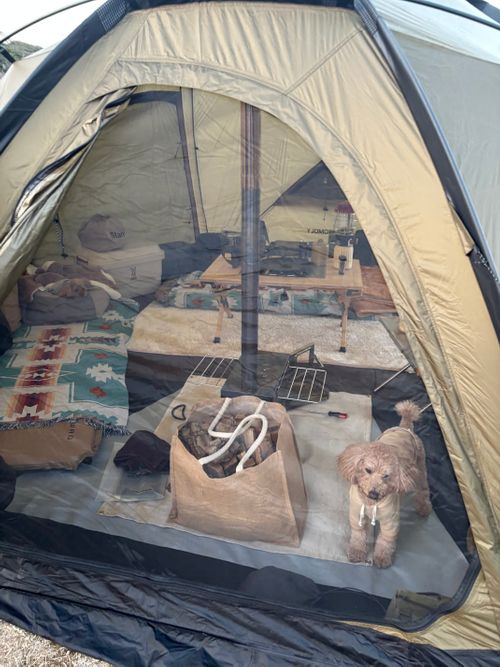 2025最後のキャンプ tama海terrasse - タマ海テラス - ファミリーキャンプ 区画サイト aozoraさんのキャンプブログ CAMPiii（キャンピー） -キャンプ専用SNS キャンプのすべてがここに集まる-