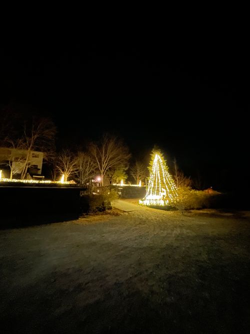 60回目のキャンプは、なかなか予約が取れない長瀞オートキャンプ場へ！ 長瀞オートキャンプ場 ソロキャンプ 区画サイト ma9さんのキャンプブログ CAMPiii（キャンピー） -キャンプ専用SNS キャンプのすべてがここに集まる-