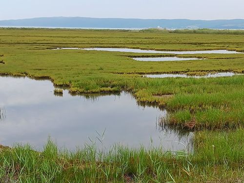 北海道の旨い!を食べるC△mp旅’ 2025(1 of 4) 北海道 ファミリーキャンプ キャンピングカー vios outdoor'sさんのキャンプブログ CAMPiii(キャンピー) -キャンプ専用SNS キャンプのすべてがここに集まる-