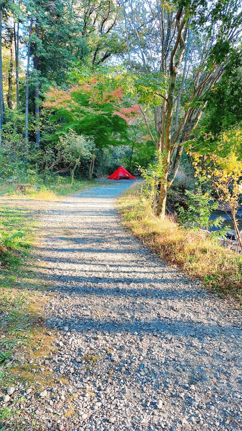 CAMPiii（キャンピー） kana_haruさんのキャンプブログ 強風🌬️を振り返る 小田原市いこいの森 RECAMP おだわら