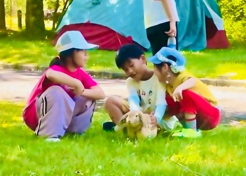 イベントキャンプ初参戦！皆んなで楽しむおじおば🐰キャン△ in らかん高原オートキャンプ場 〜 CAMP NO.204 らかん高原 オートキャンプ場 ファミリーキャンプ グループキャンプ おじキャン△さんのキャンプブログ CAMPiii（キャンピー） -キャンプ専用SNS キャンプのすべてがここに集まる-