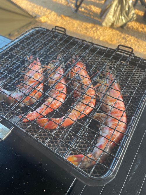 秋穂の名物《車海老を喰らう》おじうさグルキャン△ in 美濃ケ浜海浜公園キャンプ場 〜 CAMP NO.160 美濃ケ浜海浜広場 ソロキャンプ ファミリーキャンプ グループキャンプ フリーサイト おじキャン△さんのキャンプブログ CAMPiii（キャンピー） -キャンプ専用SNS キャンプのすべてがここに集まる-