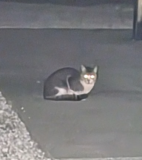 キャンプ再開して、同じとこへ　No.45 South One Village 館山 グループキャンプ ソロキャンプ 区画サイト すーつさんのキャンプブログ CAMPiii（キャンピー） -キャンプ専用SNS キャンプのすべてがここに集まる-