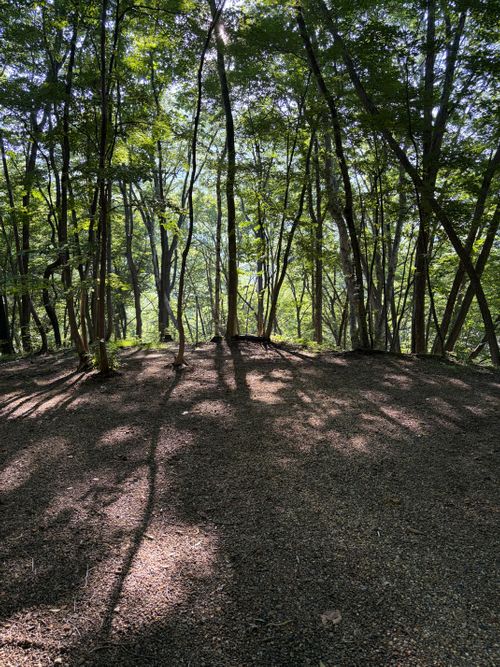 避暑地キャンプ⛺️完ソロでした😊 浅間大滝キャンプ場 すずしょうさんのキャンプブログ CAMPiii（キャンピー） -キャンプ専用SNS キャンプのすべてがここに集まる-