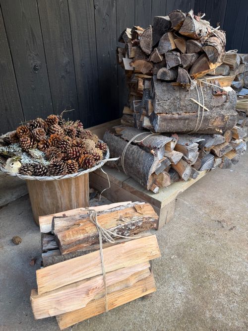 花粉症炸裂キャンプ🤧🏕 TASTE HOUSE ZEN ファミリーキャンプ フリーサイト ぐうたら夫婦さんのキャンプブログ CAMPiii（キャンピー） -キャンプ専用SNS キャンプのすべてがここに集まる-