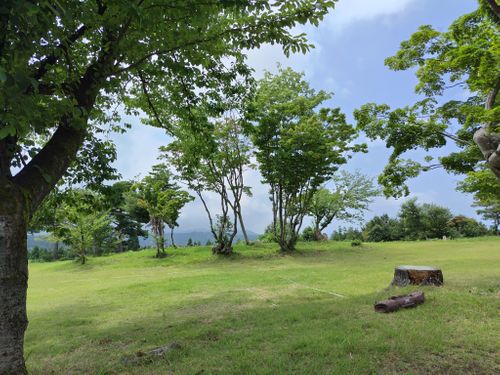 CAMPiii（キャンピー） セツさんのキャンプブログ 広々貸切キャンプ⛺️ 大和川森林公園高ノ峰プラトー