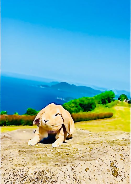一年振りの絶景を求めて&hellip;おじうさキャン△ in 千畳敷高原キャンプ場 〜 CAMP NO.194 千畳敷高原キャンプ場 ソロキャンプ ファミリーキャンプ フリーサイト おじキャン△さんのキャンプブログ CAMPiii（キャンピー） -キャンプ専用SNS キャンプのすべてがここに集まる-