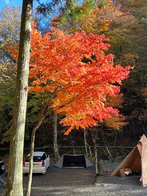 紅葉🍁キャンプ 山伏オートキャンプ場 ソロキャンプ グループキャンプ 区画サイト Genさんのキャンプブログ CAMPiii（キャンピー） -キャンプ専用SNS キャンプのすべてがここに集まる-
