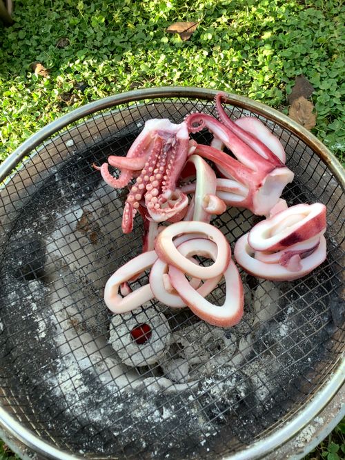 Vol.106 25/NO.25 坂戸にお肉焼きに行く‼️ 坂戸市 ソロキャンプ フリーサイト 🔥焚き火🔥さんのキャンプブログ CAMPiii(キャンピー) -キャンプ専用SNS キャンプのすべてがここに集まる-