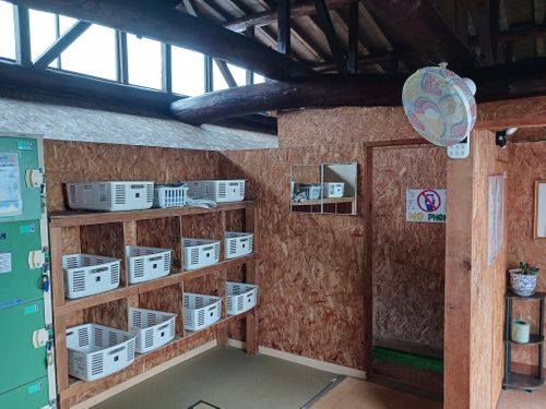北海道の旨い!を食べるC△mp旅’2025(3 of 4) 北海道 ファミリーキャンプ キャンピングカー vios outdoor'sさんのキャンプブログ CAMPiii(キャンピー) -キャンプ専用SNS キャンプのすべてがここに集まる-
