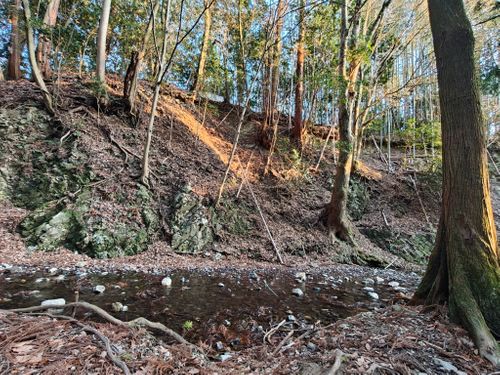 実験キャンプや。 大阪府 ソロキャンプ フリーサイト ぞのさんさんのキャンプブログ CAMPiii（キャンピー） -キャンプ専用SNS キャンプのすべてがここに集まる-