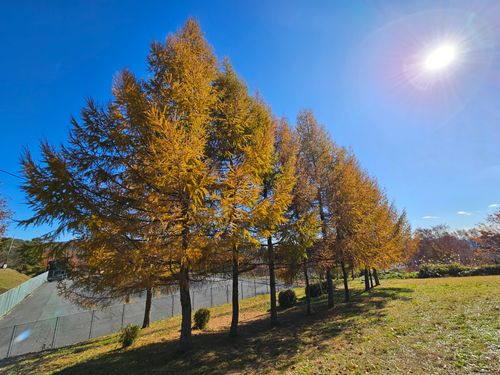 雲海キャンプ2025⑤は第8回SBCMT♪ 神石高原 ティアガルテン グループキャンプ フリーサイト 三代目とっしぃさんのキャンプブログ CAMPiii（キャンピー） -キャンプ専用SNS キャンプのすべてがここに集まる-