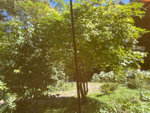 期間限定の独身✖︎読書🟰独書キャンプ🏕️ 奥州平泉温泉 そば庵 しづか亭 ソロキャンプ 区画サイト ぱぱちょさんのキャンプブログ CAMPiii（キャンピー） -キャンプ専用SNS キャンプのすべてがここに集まる-