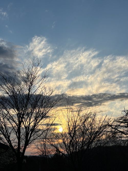 TOP画を『タヌキ』にしたら、メインがなくなるので『桜』にする！ くつわ池自然公園キャンプ場 ソロキャンプ フリーサイト とのさんのキャンプブログ CAMPiii（キャンピー） -キャンプ専用SNS キャンプのすべてがここに集まる-