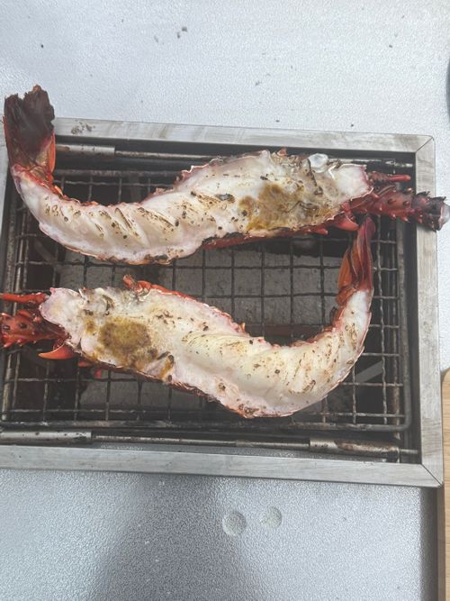 いい夫婦の日に2組でキャンプ 阿蘇レインボーバレー ファミリーキャンプ グループキャンプ 区画サイト オートサイト moreAiさんのキャンプブログ CAMPiii（キャンピー） -キャンプ専用SNS キャンプのすべてがここに集まる-