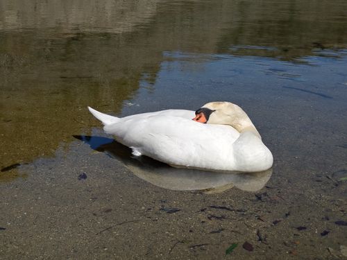 新幕デビューin白鳥の湖🏕️ ふれあいパーク大原湖 ソロキャンプ 区画サイト ＪＩＭＭＹさんのキャンプブログ CAMPiii（キャンピー） -キャンプ専用SNS キャンプのすべてがここに集まる-