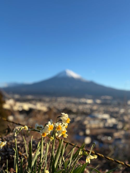 富士山と富士宮市の夜景 富士山と夜景のキャンプ場 桂の森CAMPERSFIELD ソロキャンプ 区画サイト marpyさんのキャンプブログ CAMPiii（キャンピー） -キャンプ専用SNS キャンプのすべてがここに集まる-