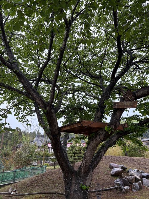 GW白馬グルキャンの前に〜こんな景色を見にちょっと能登まで🚗&sup3;₃ Camping Spot Hamano グループキャンプ フリーサイト ぷりんさんのキャンプブログ CAMPiii（キャンピー） -キャンプ専用SNS キャンプのすべてがここに集まる-