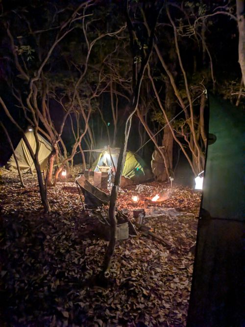 訳あって夜到着 PICA富士西湖 ソロキャンプ グループキャンプ フリーサイト アニさんのキャンプブログ CAMPiii（キャンピー） -キャンプ専用SNS キャンプのすべてがここに集まる-