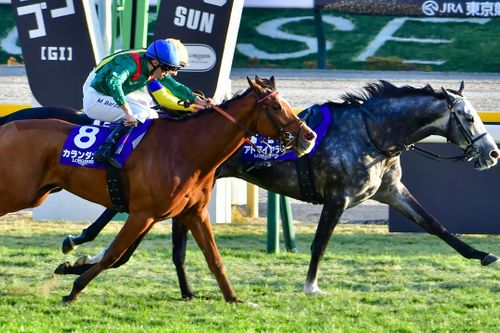 コスモキュランダ ともえ川Park ソロキャンプ グループキャンプ 区画サイト オートサイト IZUIZUさんのキャンプブログ CAMPiii（キャンピー） -キャンプ専用SNS キャンプのすべてがここに集まる-