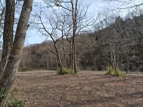 有休取ったけど午前中は仕事してからの完ソロ FOME BASE ソロキャンプ フリーサイト けい＠福島県さんのキャンプブログ CAMPiii（キャンピー） -キャンプ専用SNS キャンプのすべてがここに集まる-