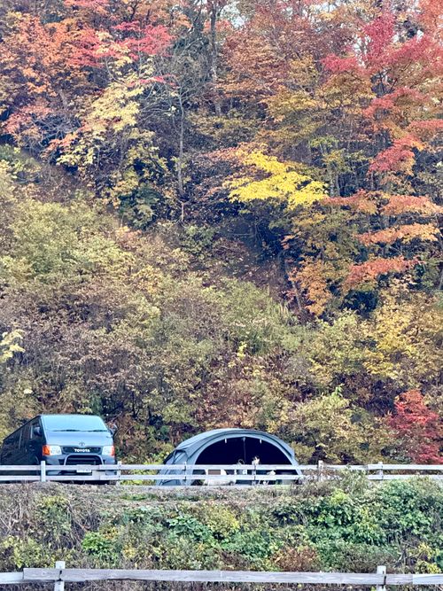 紅葉キャンプ、二泊三日、デュオ 五色温泉オートキャンプ場 ファミリーキャンプ フリーサイト トリッディさんのキャンプブログ CAMPiii（キャンピー） -キャンプ専用SNS キャンプのすべてがここに集まる-