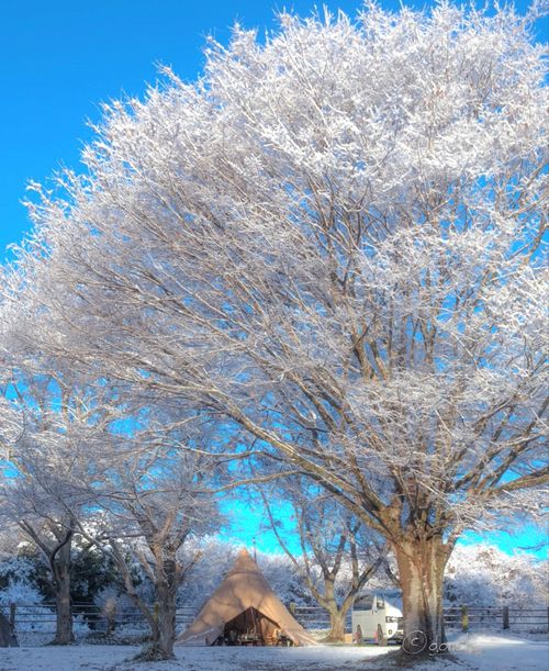2026年1発目...このまま帰れるか.... 中山高原キャンプ場 skitさんのキャンプブログ CAMPiii（キャンピー） -キャンプ専用SNS キャンプのすべてがここに集まる-