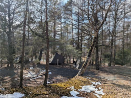 静寂な森のなかで(前篇) 小田急山中湖フォレストコテージ ファミリーキャンプ 好々爺🇯🇵さんのキャンプブログ CAMPiii（キャンピー） -キャンプ専用SNS キャンプのすべてがここに集まる-