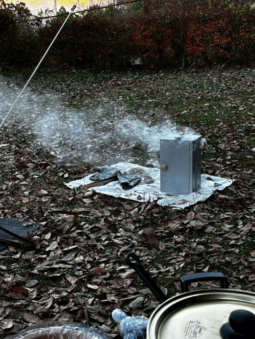 つくば山キャンプ！ 石岡市つくばねオートキャンプ場 ファミリーキャンプ オートサイト ぺちゃさんのキャンプブログ CAMPiii（キャンピー） -キャンプ専用SNS キャンプのすべてがここに集まる-