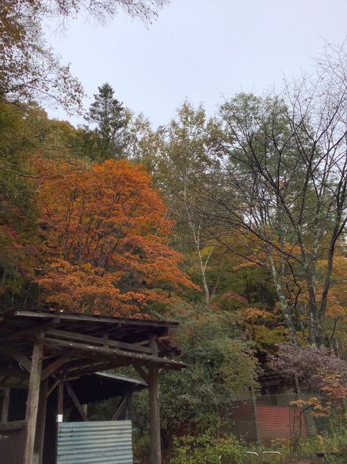 Vol.105 25/NO.24 笛吹小屋キャンプ場〜中津峡〜〆ホルモン屋‼️ 笛吹小屋キャンプ場 ソロキャンプ 区画サイト 🔥焚き火🔥さんのキャンプブログ CAMPiii(キャンピー) -キャンプ専用SNS キャンプのすべてがここに集まる-