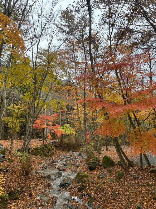 紅葉🍁キャンプ 山伏オートキャンプ場 ソロキャンプ グループキャンプ 区画サイト Genさんのキャンプブログ CAMPiii（キャンピー） -キャンプ専用SNS キャンプのすべてがここに集まる-