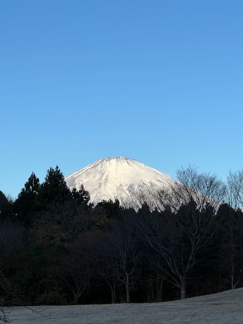 ただいま ソロキャンプ YOTIさんのキャンプブログ CAMPiii（キャンピー） -キャンプ専用SNS キャンプのすべてがここに集まる-